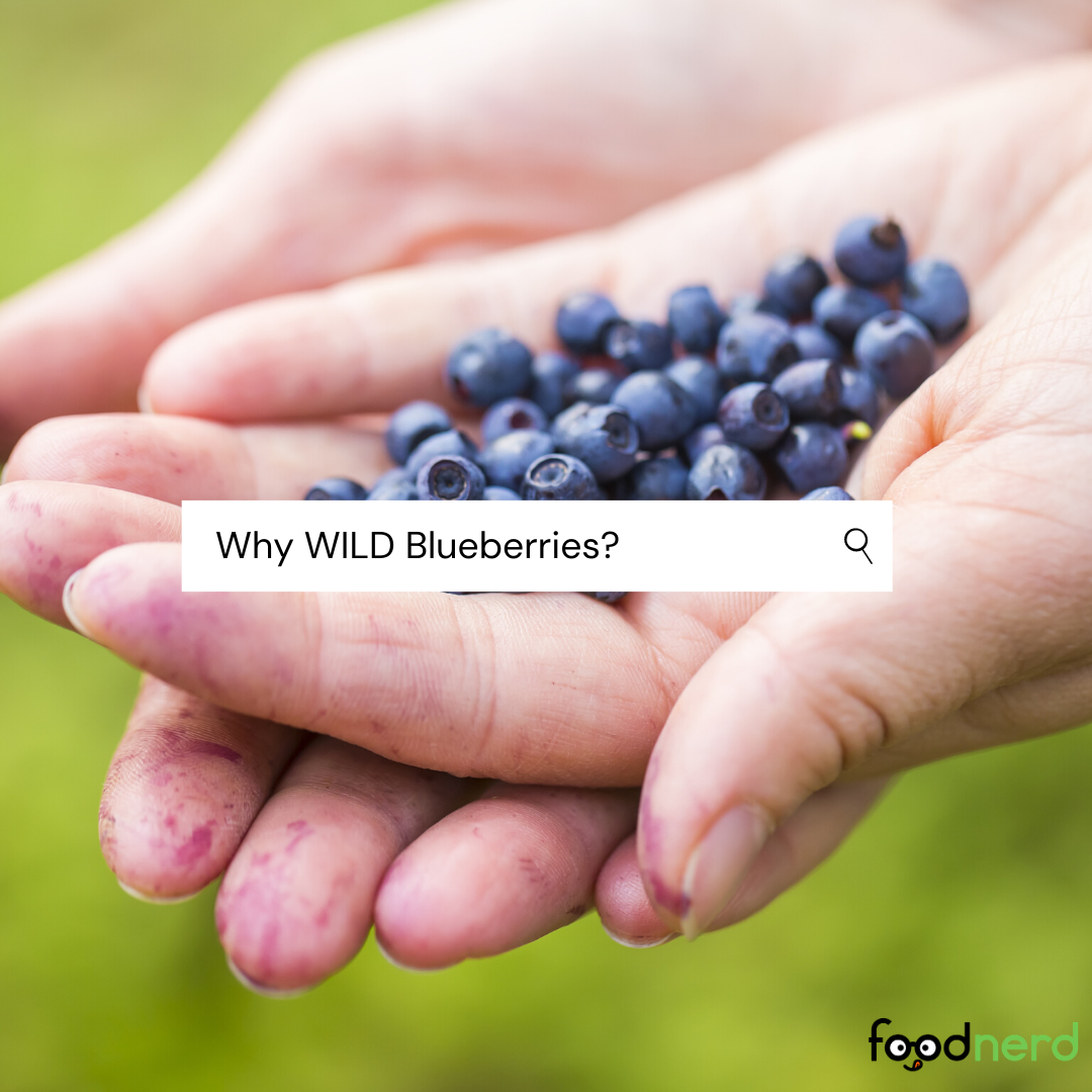 Wild Blueberries: The Next Big Superfood?
