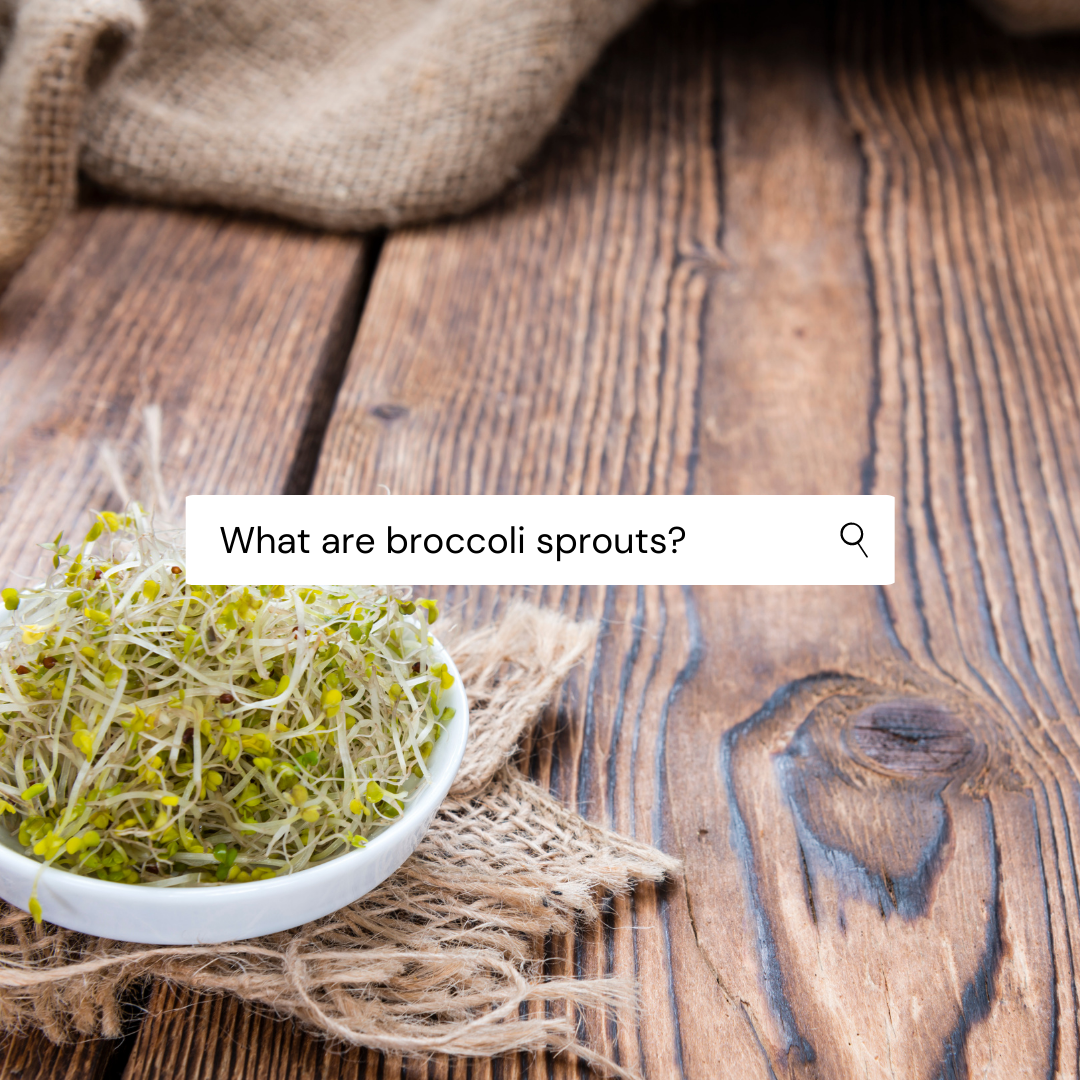 Broccoli Sprouts: Here's What You Need To Know