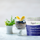 Wild Blueberry Banana Buckwheat